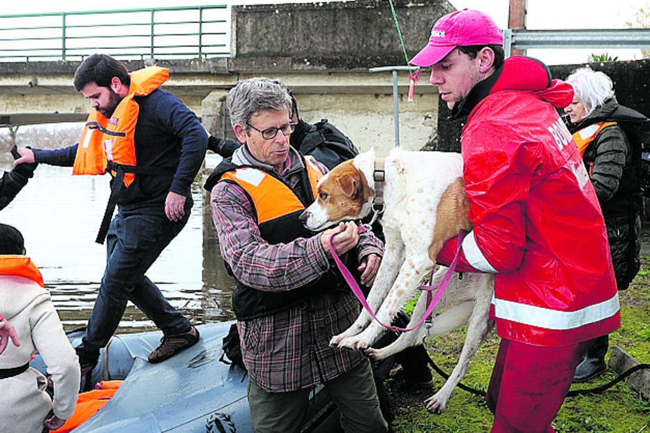 João Paulo Pedrosa e Pipoca