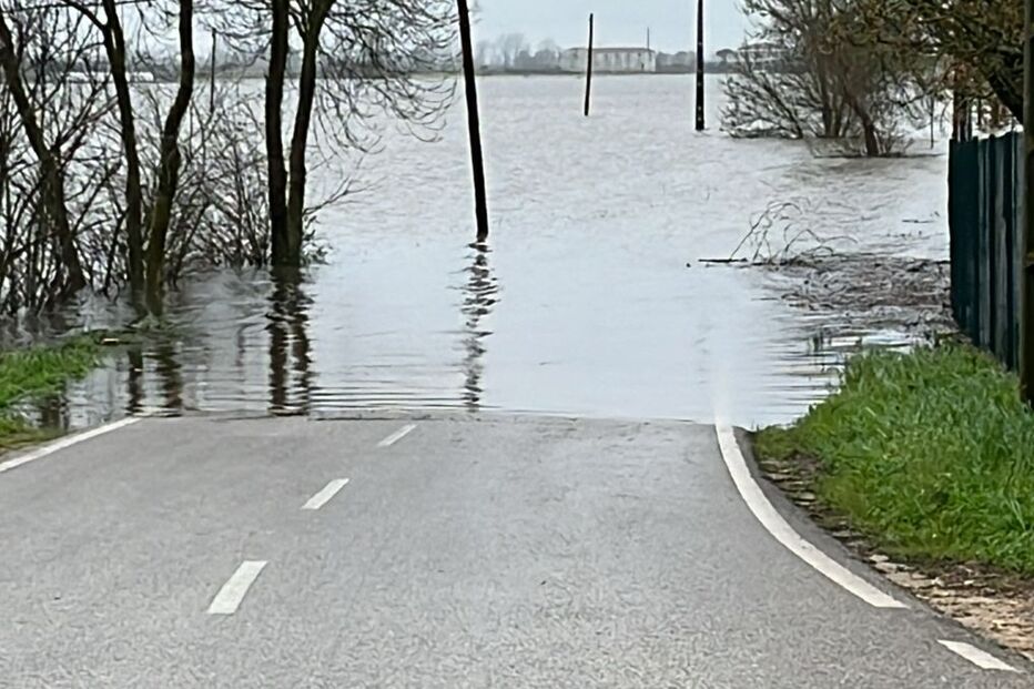 Inundações nas margens de Salvaterra de Magos