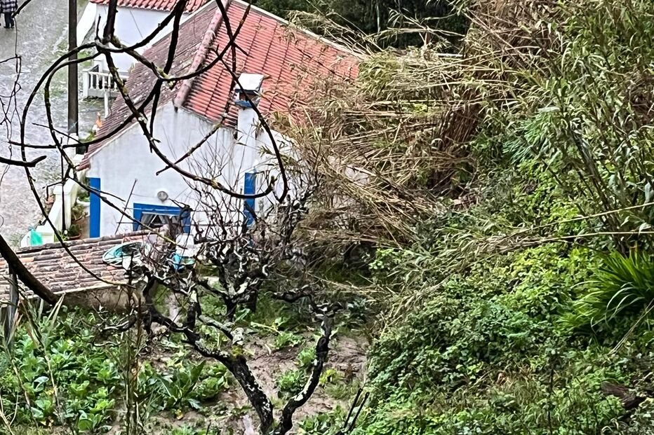 Imagens mostram danos causados pelo mau tempo em habitação no Cartaxo