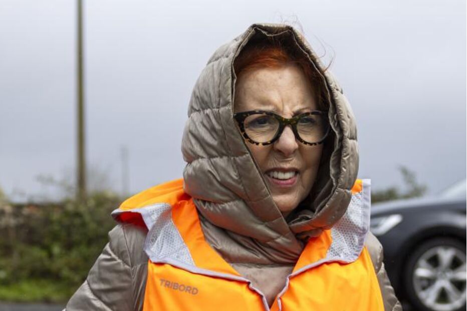 Ministra do Ambiente e Energia, Maria da Graça Carvalho