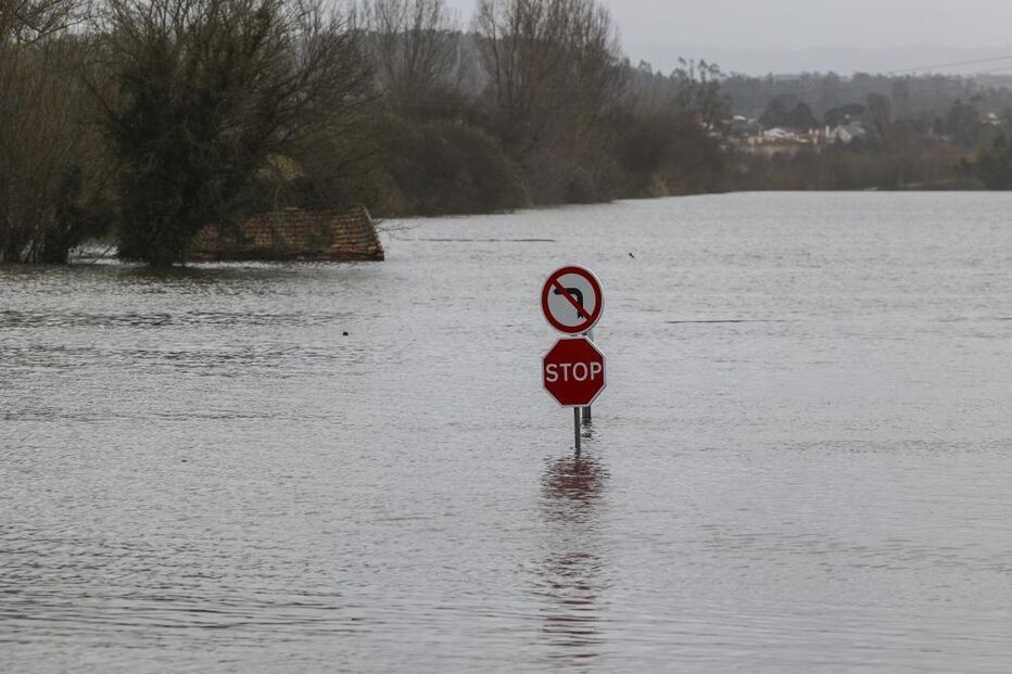 Risco de colapso em dique causa desespero em Soure