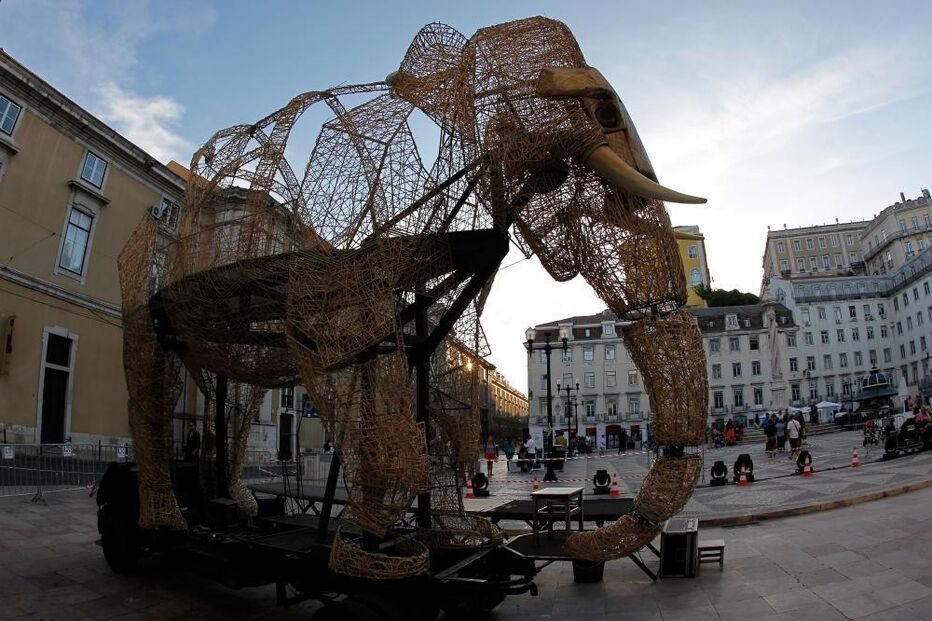 Meio século de Trigo Limpo Teatro Acert, uma celebração de 50 anos