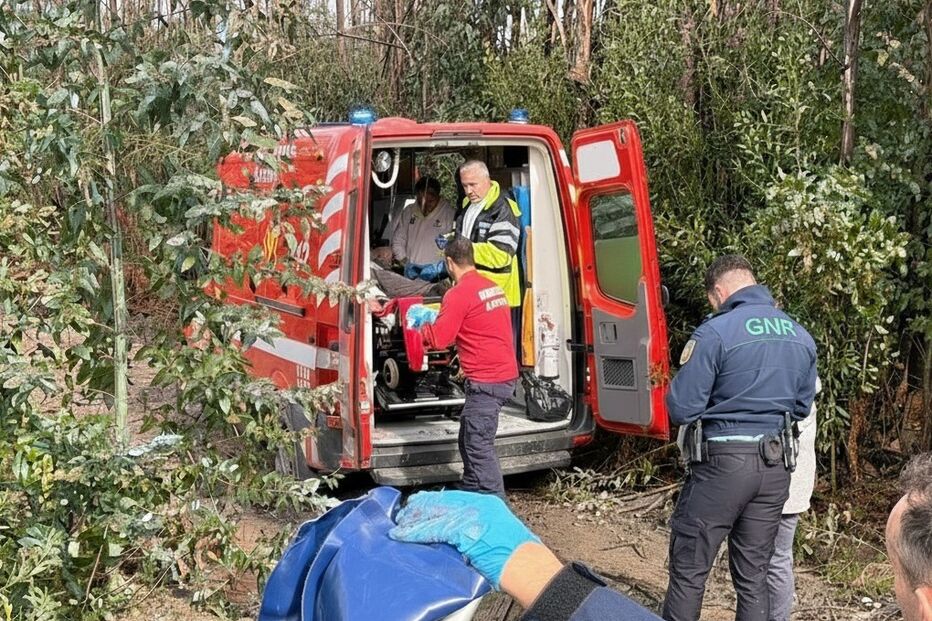 Homem ferido em acidente com motosserra em Albergaria-a-Velha