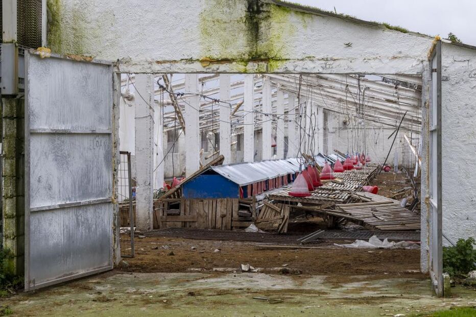 Empresas de Leiria retomam produção com lonas e geradores após falta de apoios