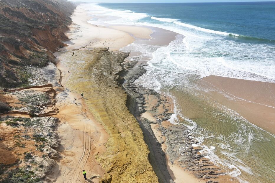 Descobertos fósseis a norte da praia da Galé em Grândola