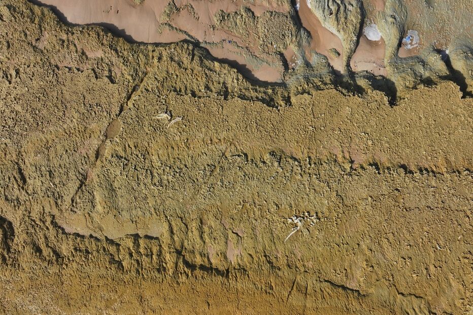 Descobertos fósseis a norte da praia da Galé em Grândola