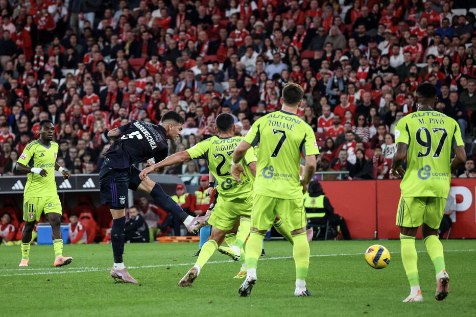 Benfica e AVS defrontam-se na 23.ª jornada da Liga Portugal Betclic