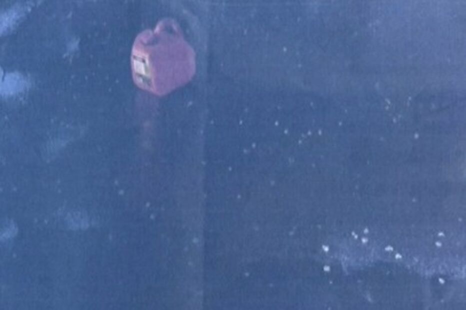 Homem armado tenta invadir casa de Trump na Florida e é morto pelos serviços secretos