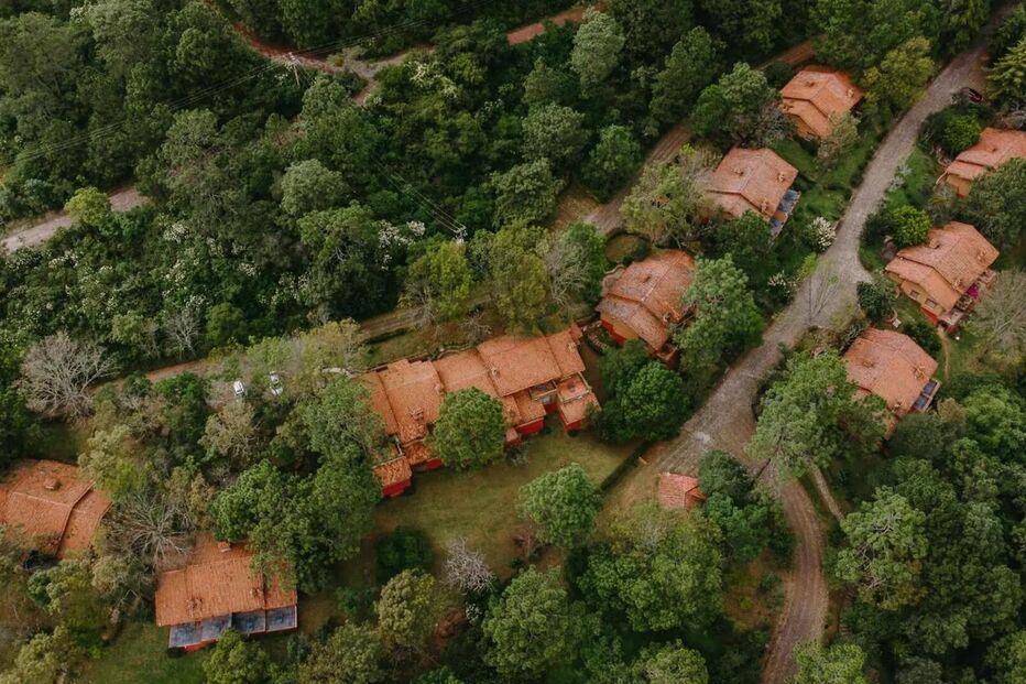 Vista aérea de casas rurais com telhados de tijoleira na floresta