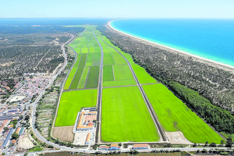 A Herdade da Comporta fica na costa do Alentejo, a sul de Troia, e tem  uma área superior  a 11 mil hectares 