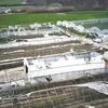 <![CDATA[ Prejuízos do mau tempo na agricultura já passam os 550 milhões de euros ]]>
