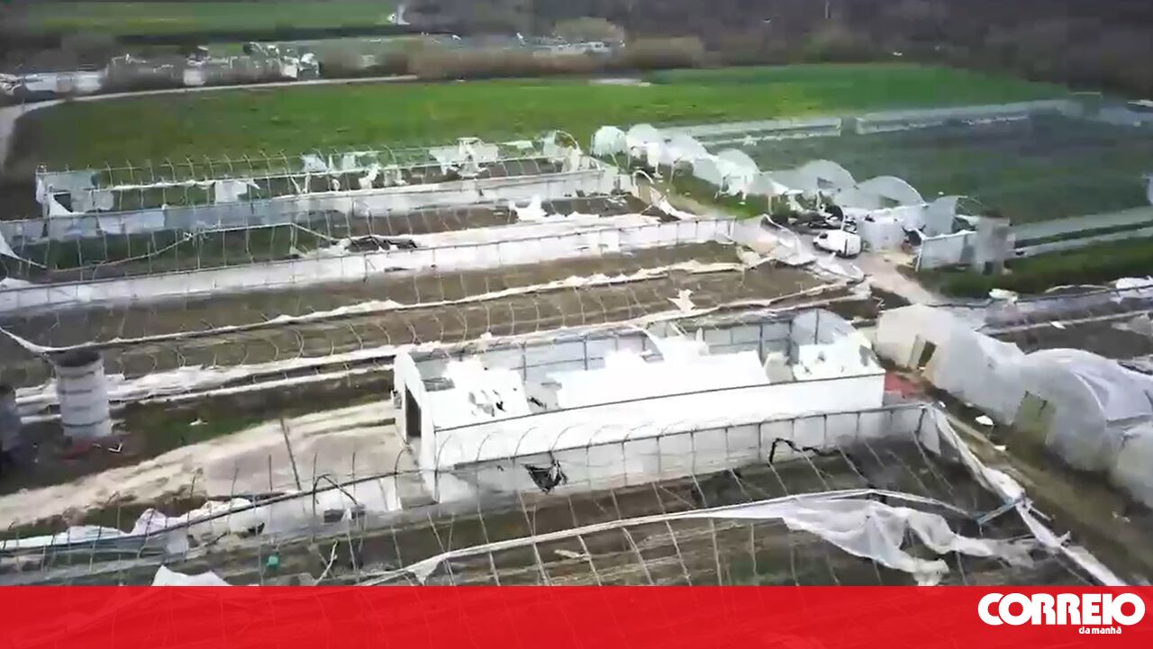 Prejuízos do mau tempo na agricultura já passam os 550 milhões de euros