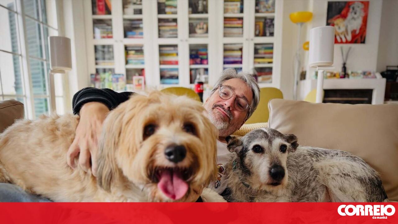 Nuno Markl's dogs immortalised in paintings. Still recovering, the comedian is "speechless" upon seeing the artist's work