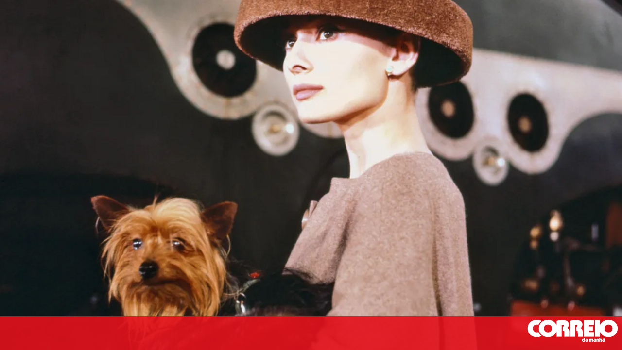 Is having a dog good for the heart? Science explains