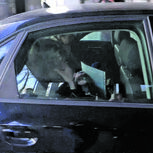 Suspeitos, esta quarta-feira, à chegada ao TIC do Porto