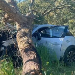 Suspeito de assassinar a mulher foge do local do crime e acaba por morrer em acidente de carro 