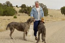 Caso Epstein: Investigação ao 'Rancho Playboy' reaberta