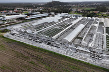 Agricultores estimam prejuízos de 600 milhões devido ao mau tempo