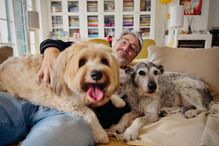 Nuno Markl está de volta a casa! E às 