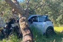 Menina de 13 meses fica orfã após pai morrer em acidente depois de matar a mãe da bebé