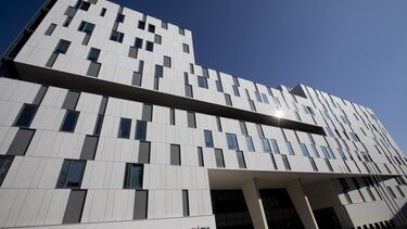 Homicida procurado no Reino Unido detido em Lisboa