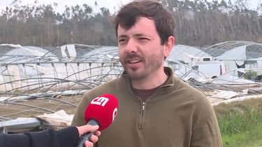 "Ainda tenho muita vontade": Tomás Gouveia, proprietário da exploração agrícola em Azambuja que está na família há três gerações