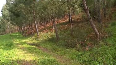 Ossada humana encontrada em Braga