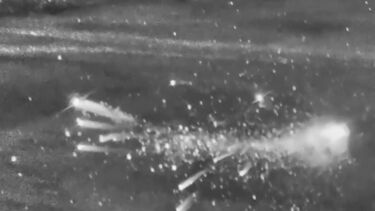 Reino Unido divulga vídeo de caças F-35 a abater drone sobre a Jordânia 