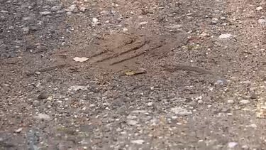 PJ investiga ossadas humanas encontradas em Braga