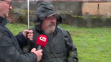 Homem perde quatro ovelhas e 16 cordeiros atacados por cães em Albergaria-a-Velha  