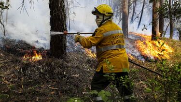 Sapadores florestais abusadores ficam em liberdade mas com pulseira eletrónica