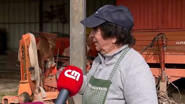 “Não há nada para aproveitar”: Agricultores desesperados por canal de rega do Mondego ainda não ter sido reparado  