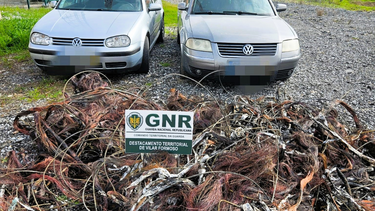 GNR deteve duas mulheres e apreendeu 548 quilos de cobre furtado em Almeida