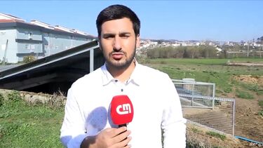 Cães vadios matam 27 ovelhas e 6 cabras em apenas três dias, em Paredes