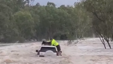 Homem e cão resgatados após ficarem presos em cima de carro durante cheias na Austrália   