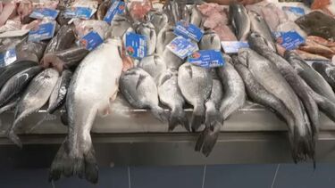 Guerra no Médio Oriente pode ter impacto no preço dos bens alimentares