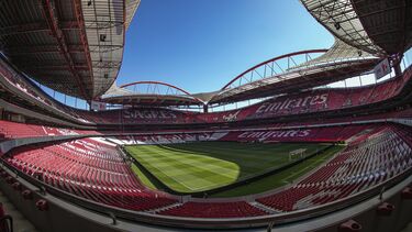 Membros da claque fazem segurança no Benfica