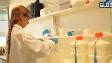 Conheça as empresas tecnológicas que usam a inteligência artificial para desenvolver projetos inovadores