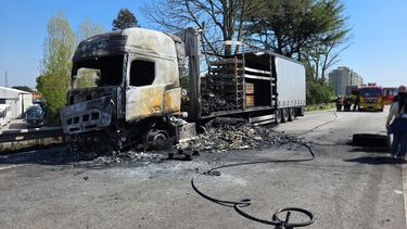 Camião de transporte de peças automóveis arde na EN14