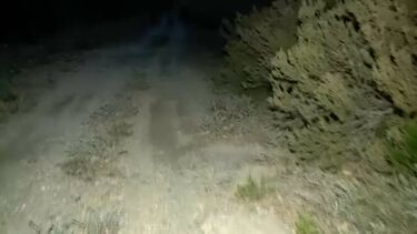 Tânia Laranjo no local onde ex-polícia diz ter enterrado companheira e ex-mulher após asfixiá-las