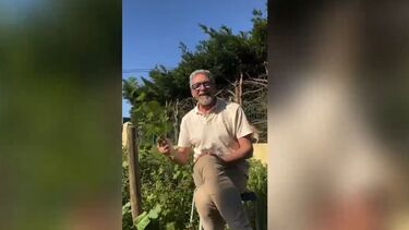 Serão as urtigas um viagra natural? Nuno Homem de Sá diz que sim e exemplifica como usar