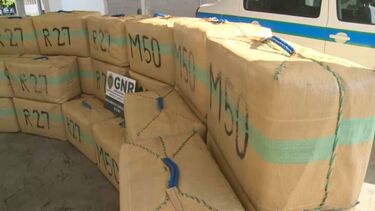 PJ apanha grupo criminoso com 350 kg de haxixe em Olhão