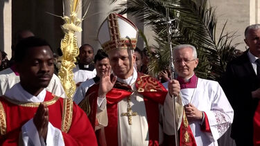 Papa Leão XIV celebra o Domingo de Ramos, dando início à Semana Santa