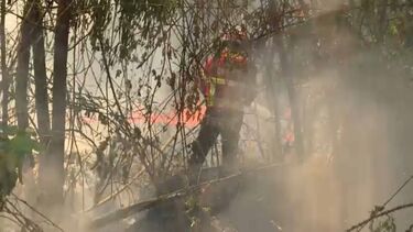 Queimada descontrolada leva a incêndio em Tarouca