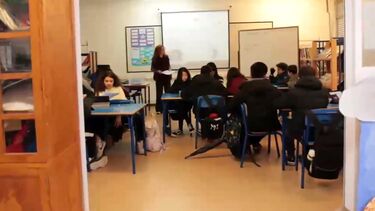 Saiba como as tecnologias podem ajudar e também meter em risco o desenvolvimento das crianças