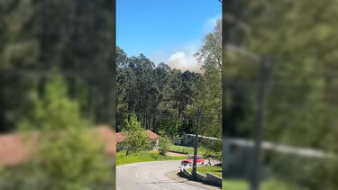 Incêndio florestal deflagra em Aveiro