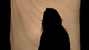 "Estaria a falar com uma pessoa que se intitulava de princesa Leonor": Filha de burlado expõe esquema