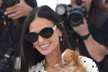Na melhor companhia! Demi Moore assistiu ao desfile da Gucci com a sua fiel 'cãopanheira'
