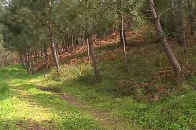 Ossada humana encontrada em Braga