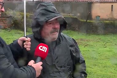 Homem perde quatro ovelhas e 16 cordeiros atacados por cães em Albergaria-a-Velha  